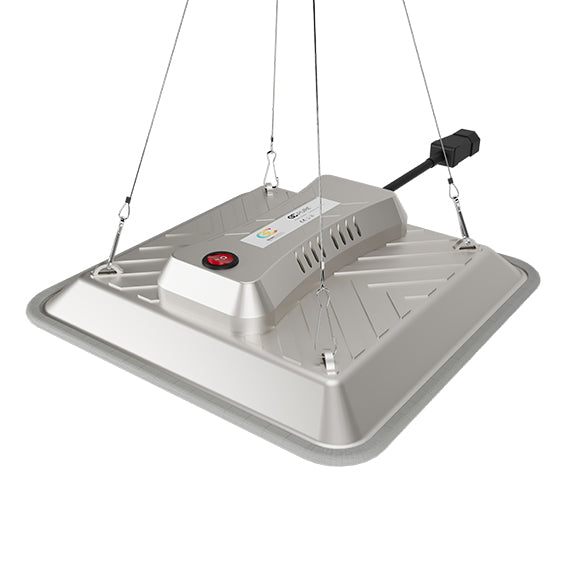 Greenception GC Pure mit 80 Watt Vollspektrum