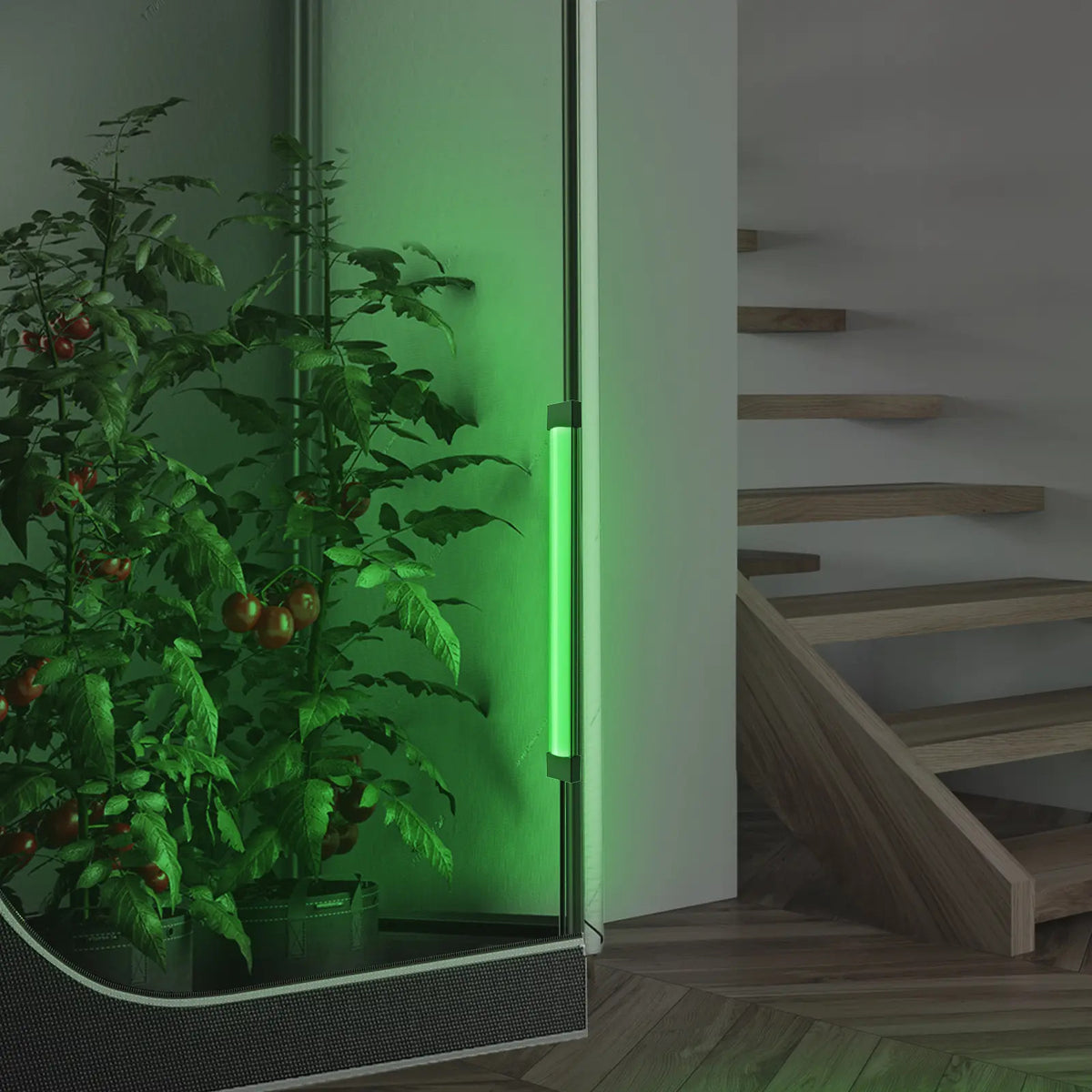 AC Infinity IONBEAM Green – Anwendungsbeispiel
