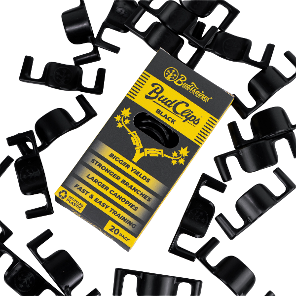 BudTrainer BudClips® Schwarz – Packung mit 20 Pflanzenclips
