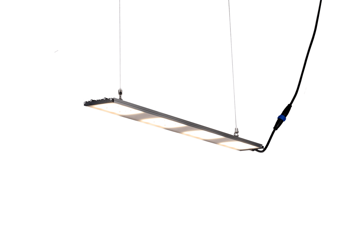 SANlight STIXX 4-100 – 94 W LED-Modul