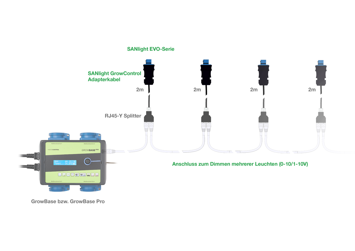 Anschlussschema: SANlight EVO Leuchten über GrowControl Adapterkabel und RJ45-Y-Splitter an GrowBase oder GrowBase Pro, Dimmen mehrerer Leuchten (0–10/1–10 V)