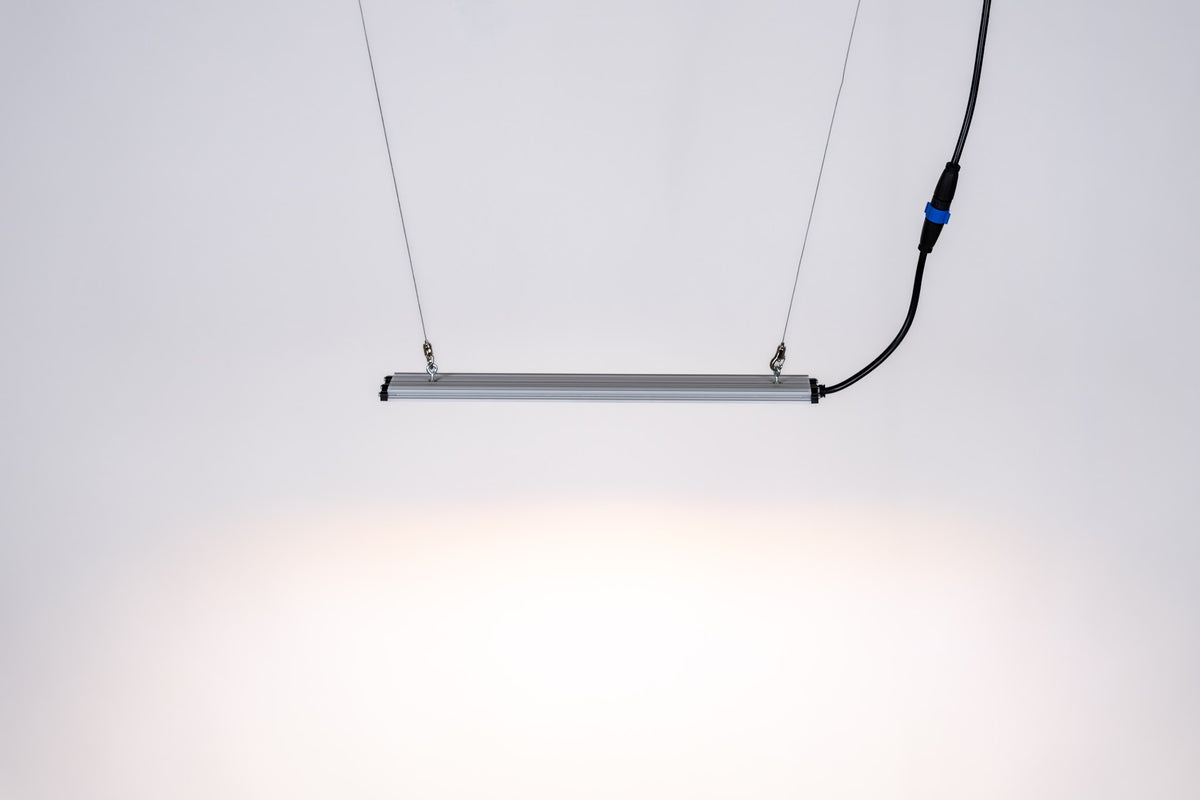 SANlight STIXX 2-60 eingeschaltet, hängend in der Seitenansicht