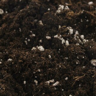 BioBizz Light Mix 20l