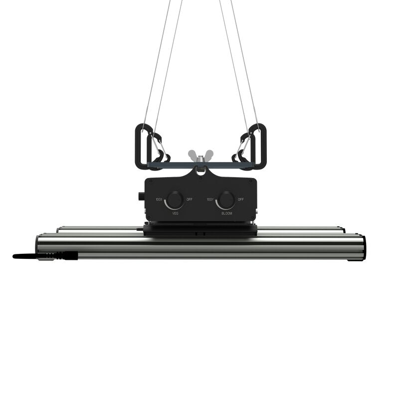 Greenception GCx 4 120 W