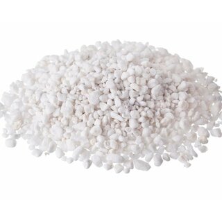 Plagron Perlite 60 Liter