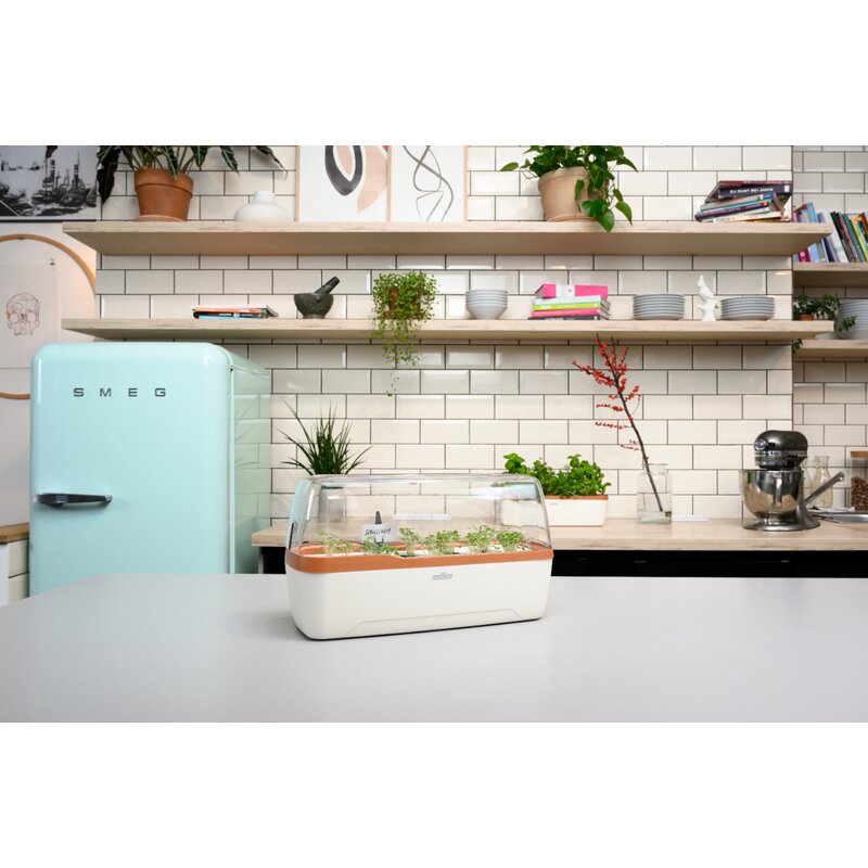 Romberg Gewächshaus BoQube L Plus Creme Kupfer