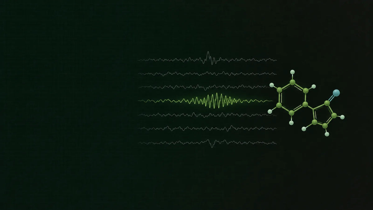 Abstrakte EEG-Kurven einer Labornacht als feine Linien auf dunkelgrünem Grund, ein Kurvenabschnitt hellgrün hervorgehoben.