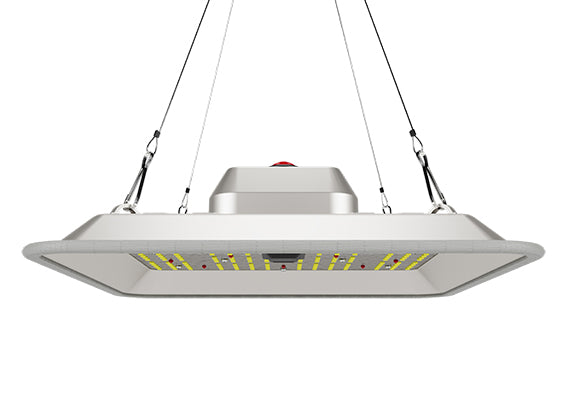 Greenception GC Pure mit 80 Watt Vollspektrum