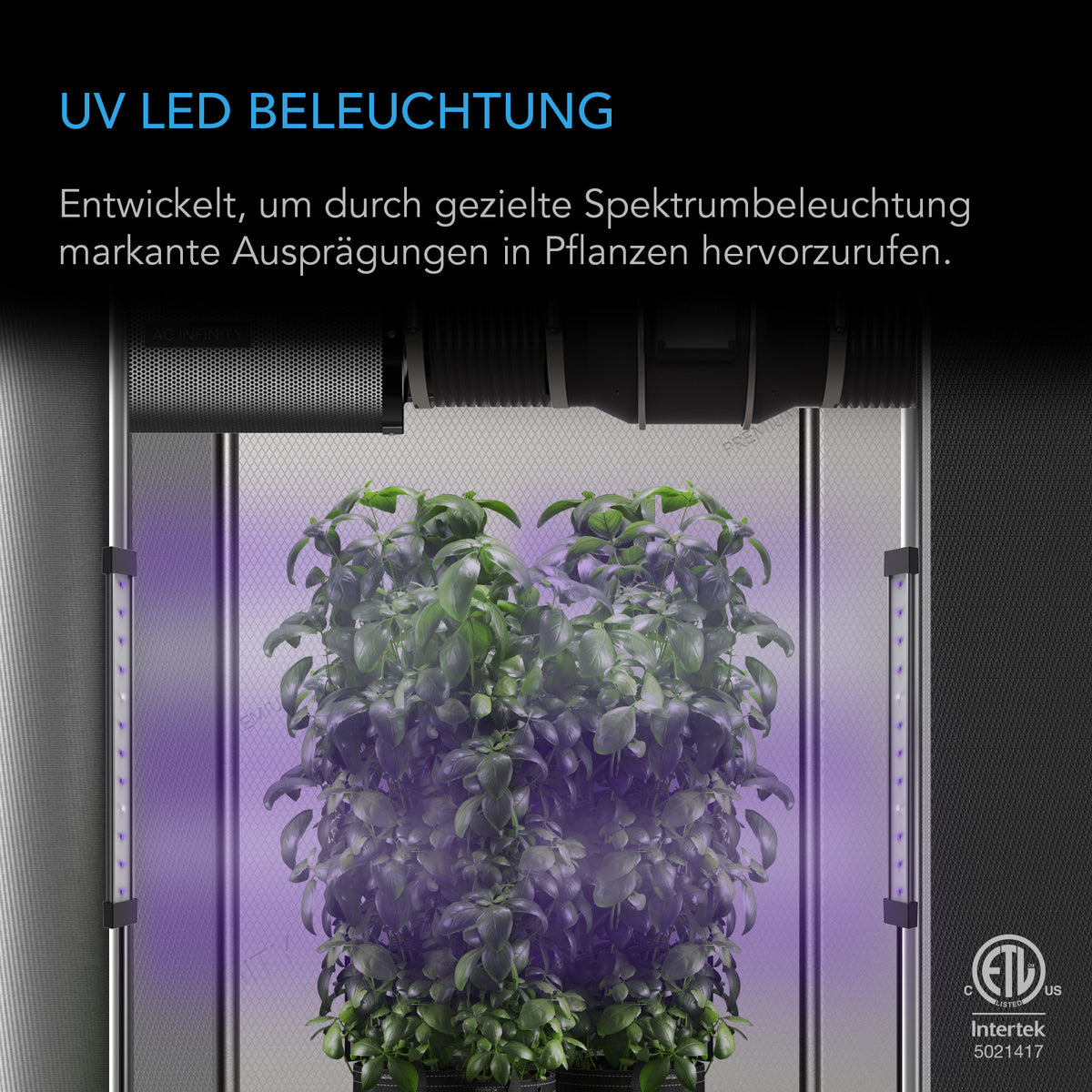 AC Infinity IONBEAM U2 – Infografik UV LED Beleuchtung