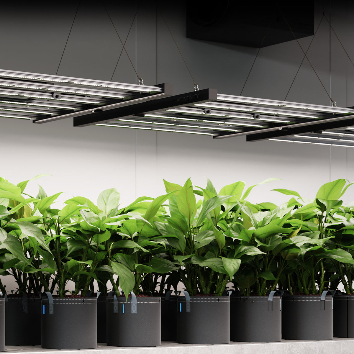 AC Infinity IONFRAME EVO10 – Anwendungsbeispiel