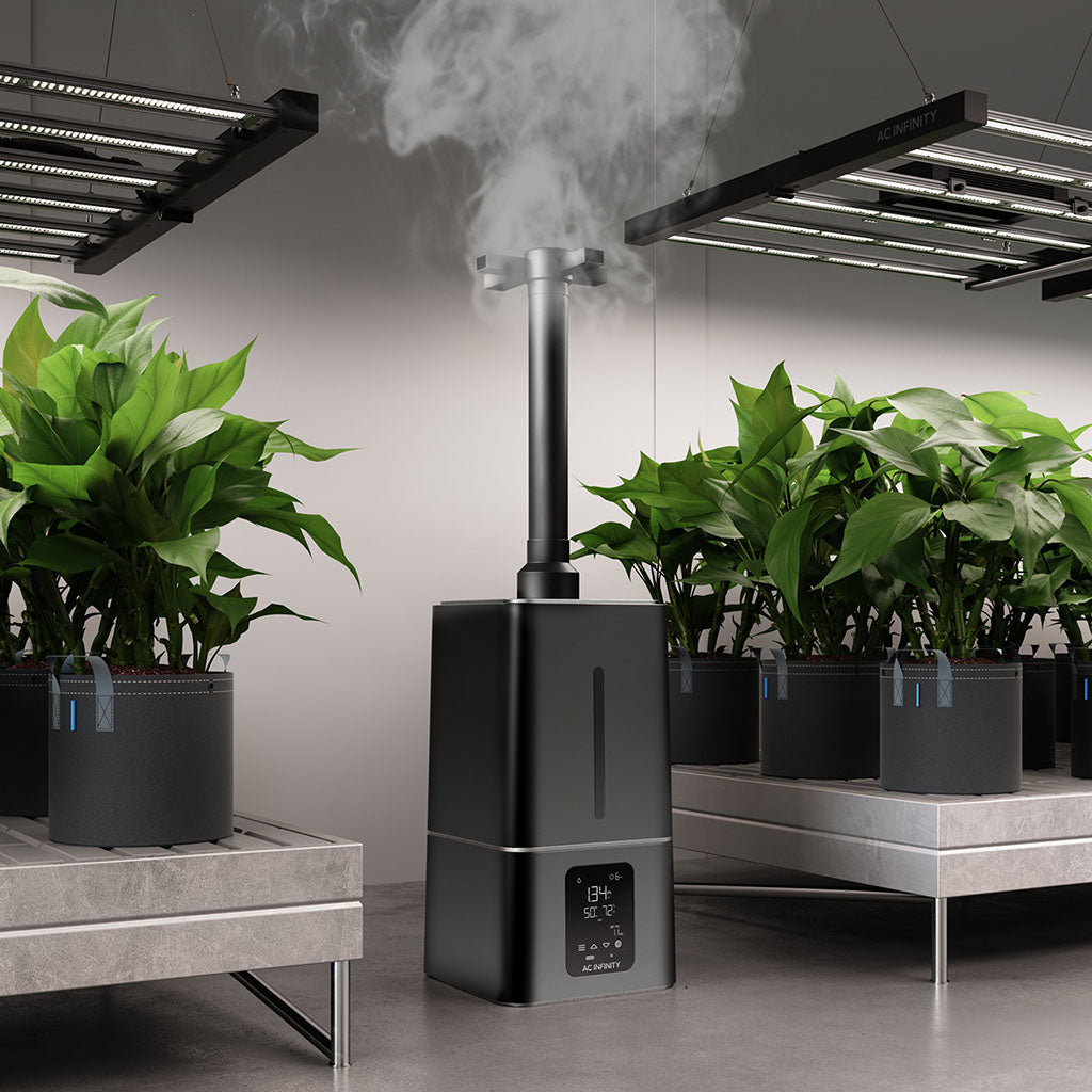 AC Infinity CLOUDFORGE T7 im Grow-Raum eingesetzt