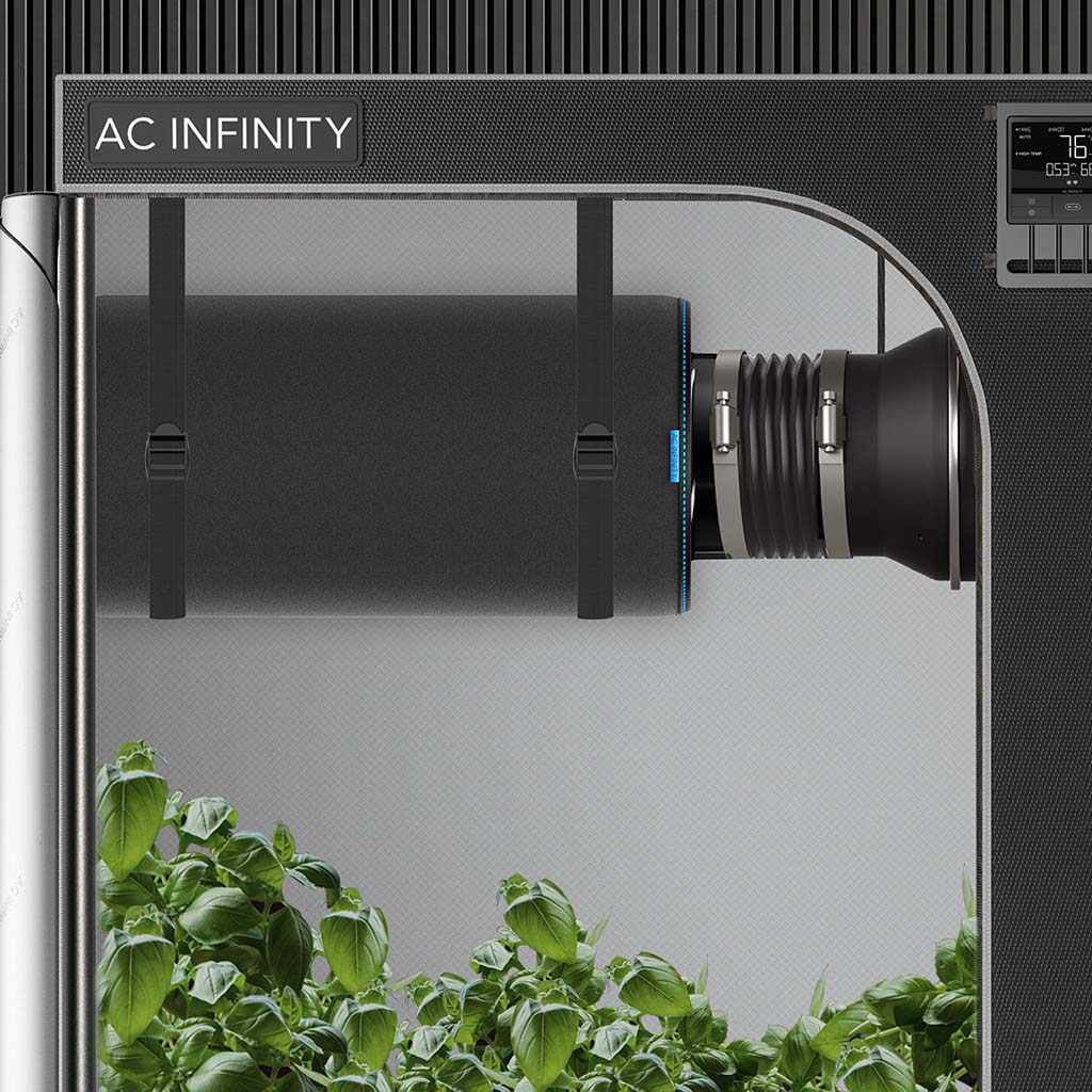 AC Infinity Aktivkohlefilter XL 200 mm im Growzelt installiert
