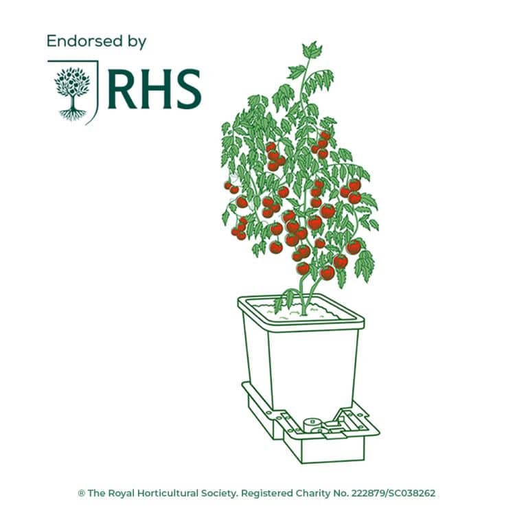Strichzeichnung eines AutoPot 1Pot-Moduls mit Tomatenpflanze