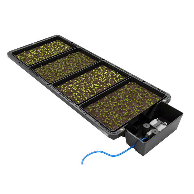 AutoPot Tray2Grow mit vier Anzuchtschalen