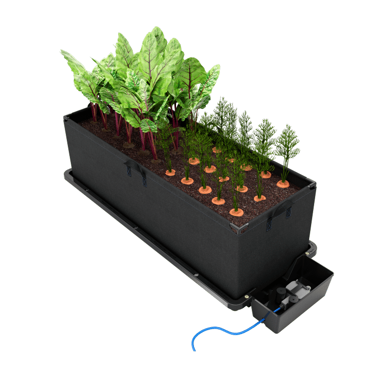 AutoPot Tray2Grow mit Stoff-Pflanzkasten, darin Mangold und Möhren