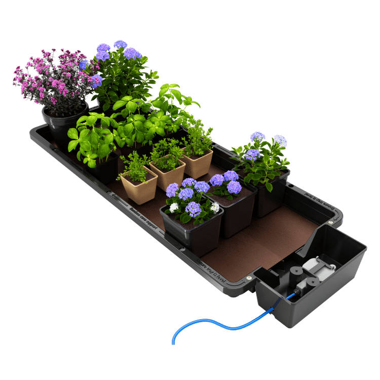 AutoPot Tray2Grow mit kleinen Töpfen, Kräutern und Blumen