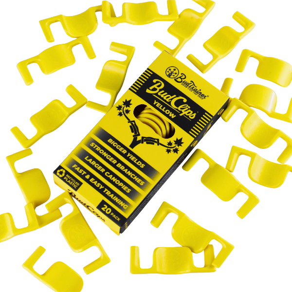 BudTrainer BudClips® Gelb – Packung mit 20 Pflanzenclips
