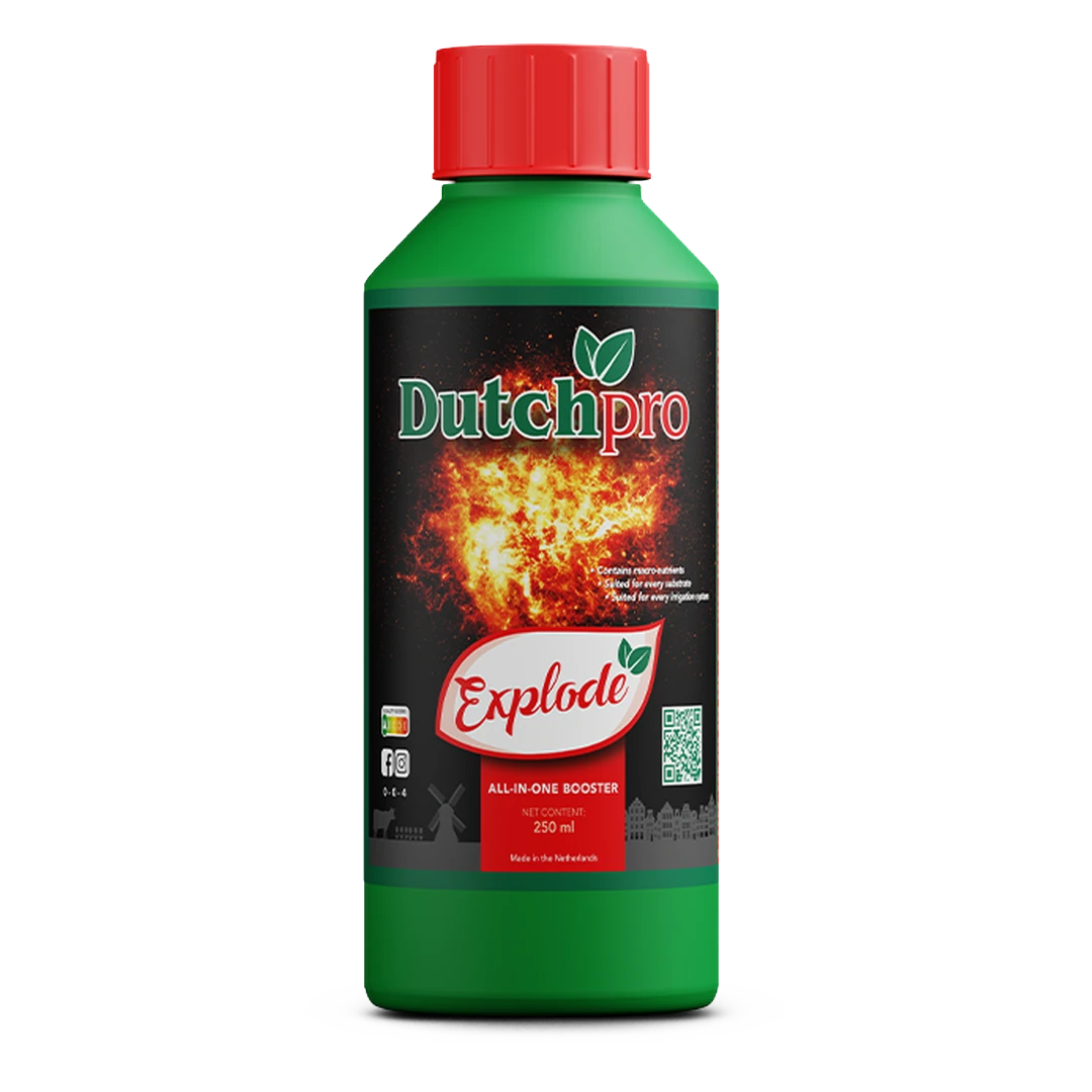 Dutchpro Explode 250 ml