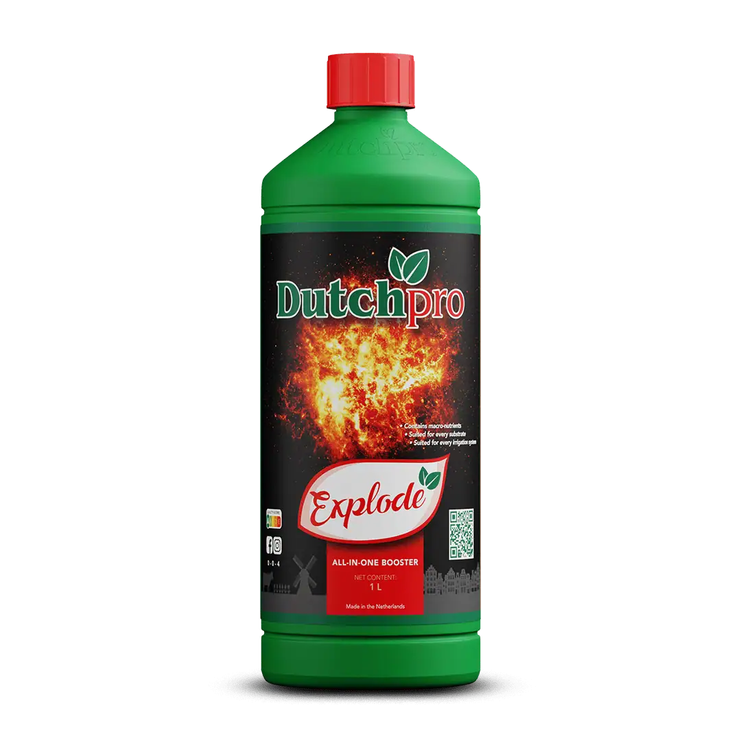 Dutchpro Explode – Herstellerabbildung der Produktfamilie