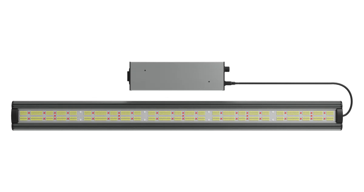 Greenception GCx 5solo PWR 200 W