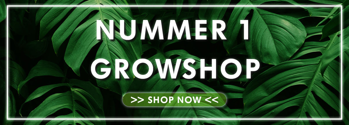 GROWZENTRUM: Nummer 1 Growshop