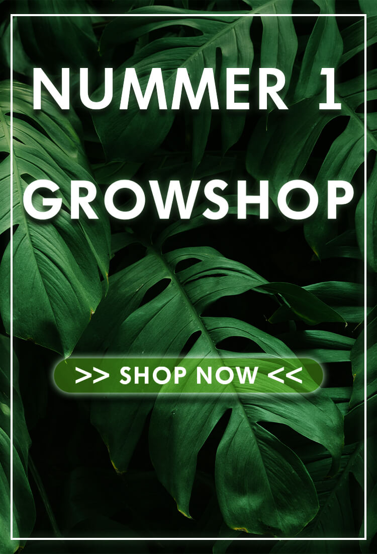 GROWZENTRUM: Nummer 1 Grow Shop Mobile