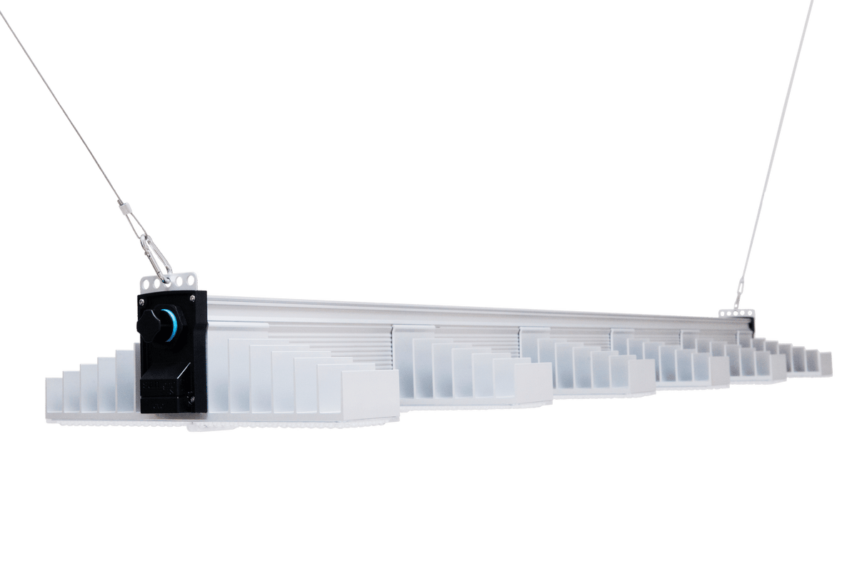 SANlight EVO 6-150 1.5 – LED-Pflanzenleuchte 400 W