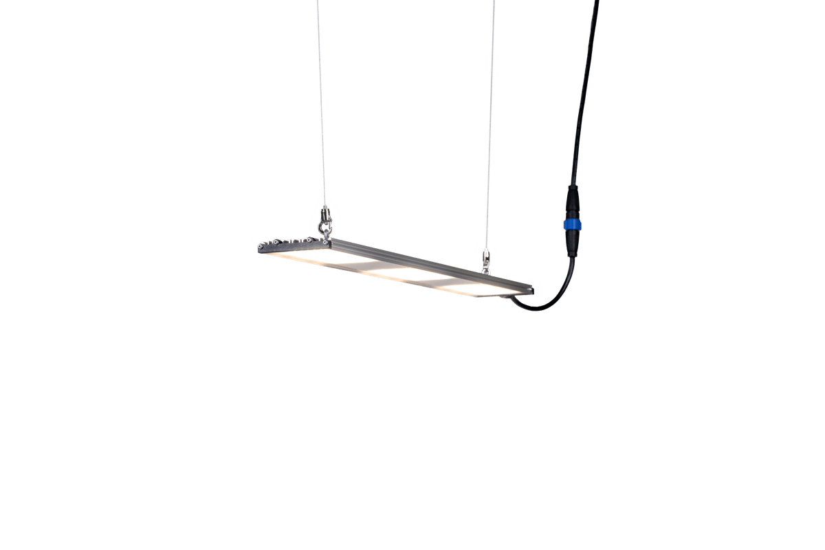 SANlight STIXX 3-80 – 70 W LED-Modul