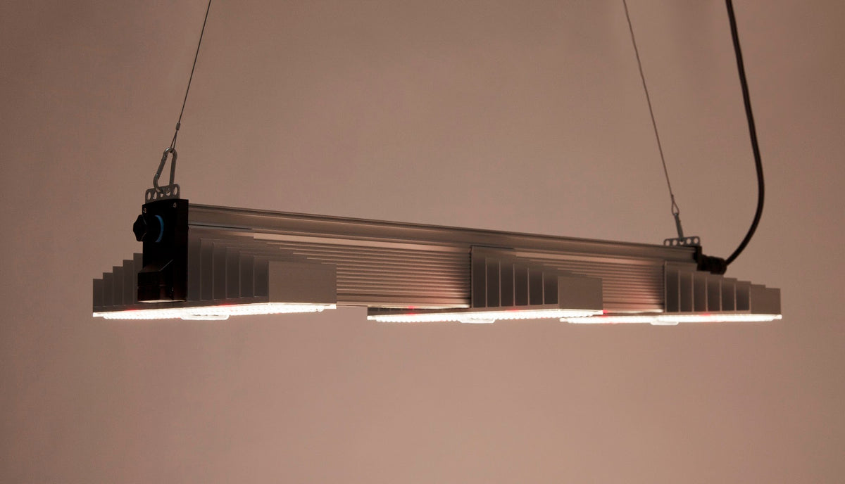 SANlight EVO 3-100 1.5 eingeschaltet, hängend von schräg unten gesehen