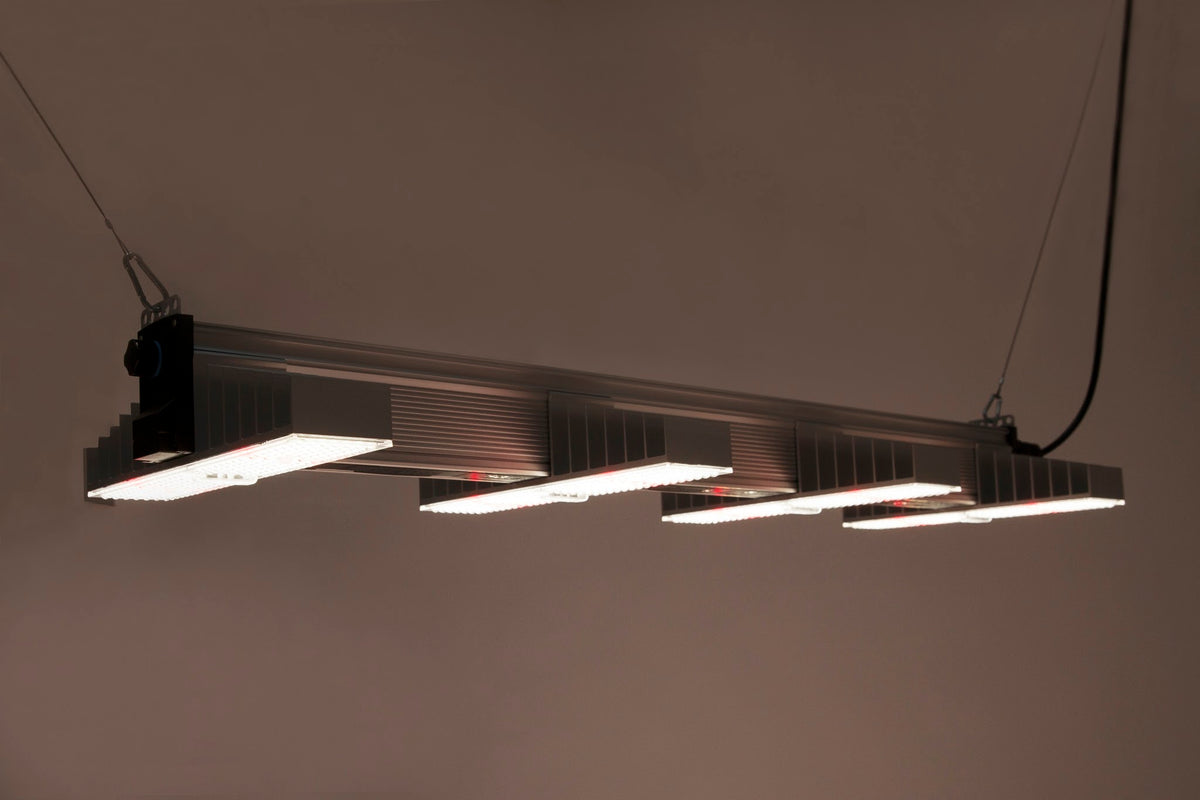 SANlight EVO 4-120 1.5 eingeschaltet, hängend von schräg unten gesehen