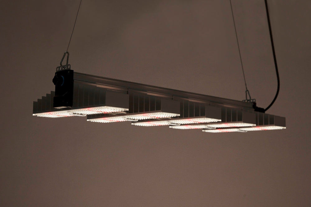 SANlight EVO 5-100 1.5 eingeschaltet, hängend von schräg unten gesehen