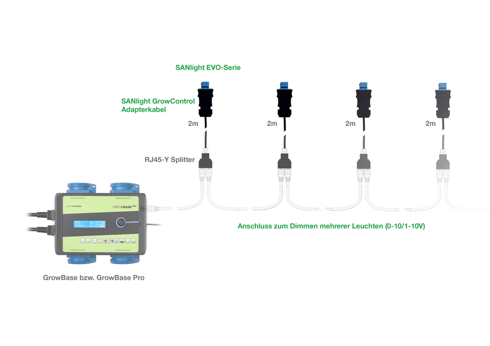 Anschlussschema: SANlight EVO Leuchten über GrowControl Adapterkabel und RJ45-Y-Splitter an GrowBase oder GrowBase Pro, Dimmen mehrerer Leuchten (0–10/1–10 V)