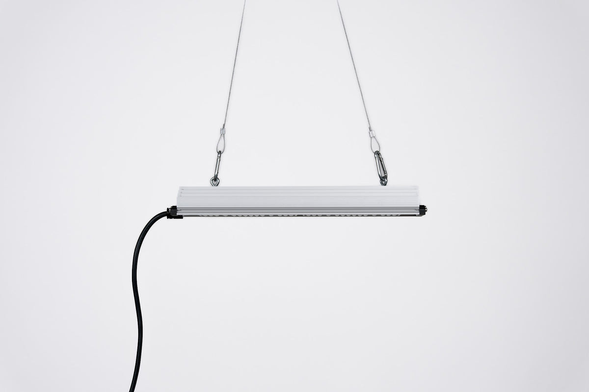 SANlight STIXX 50 hängend im Profil mit Anschlusskabel
