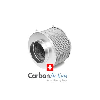 CarbonActive Professional Line 1000m³ / 250mm Flansch