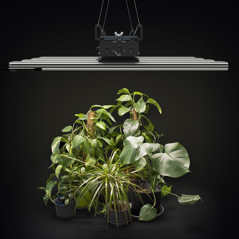 Greenception GCx 16 480 W