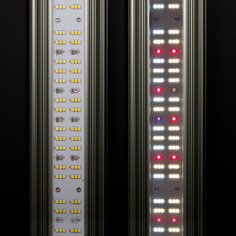 Greenception GCx 25 750 W