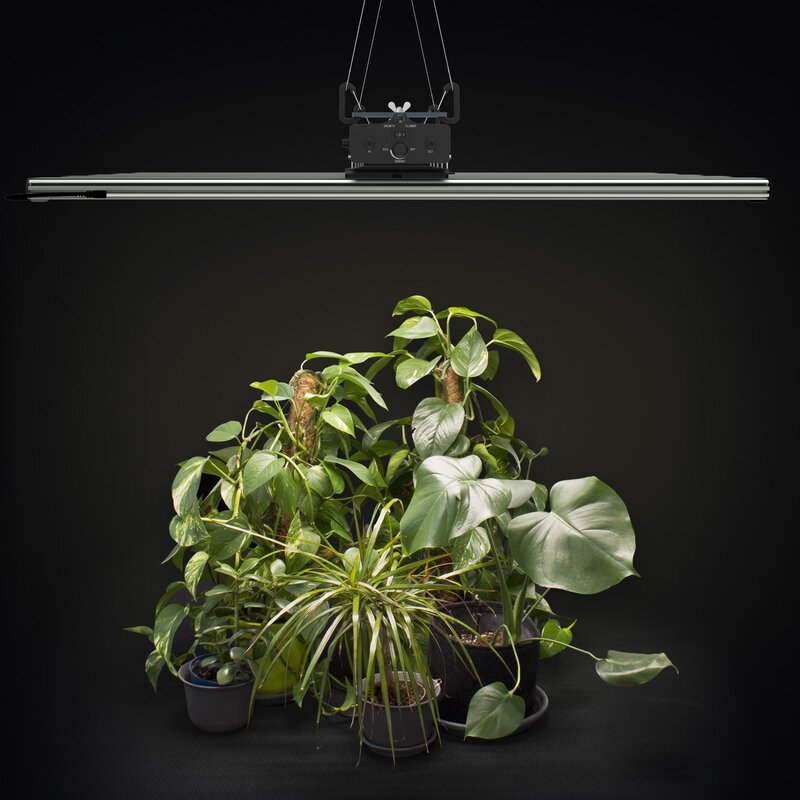 Greenception GCx 25 750 W