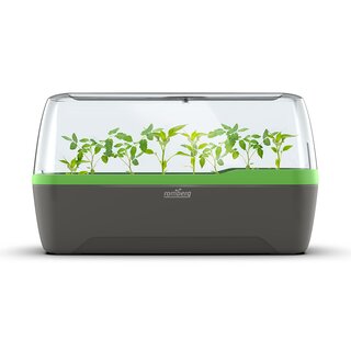 Romberg Gewächshaus BoQube L Plus Anthrazit Grün