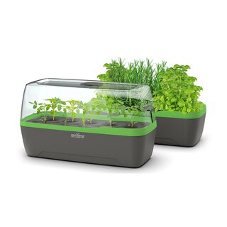 Romberg Gewächshaus BoQube L Plus Anthrazit Grün