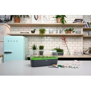 Romberg Gewächshaus BoQube L Plus Anthrazit Grün