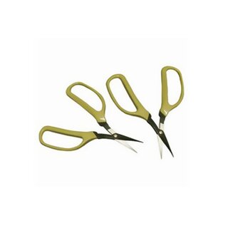 Taifun Bonsaischere Ikebana